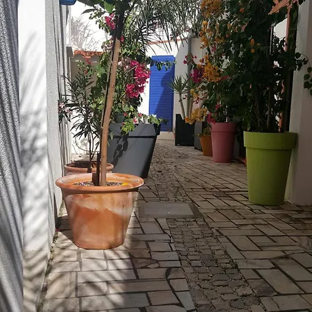 Vue باتاياس